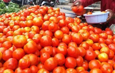टमाटर की कीमतों में इजाफा, जानें क्या हैं खुदरा भाव?