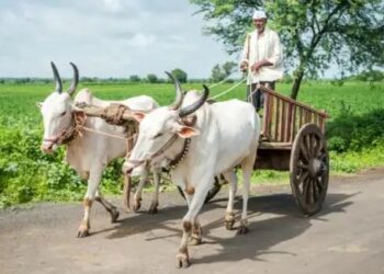 एग्रीस्टैक सम्मेलन में 4 राज्यों ने किया MoU साइन, डिजिटल पहल से छोटे किसानों को होगा फायदा