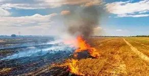 यूपी में किसान नहीं जला पाएंगे पराली, प्रशासन सतर्क, जारी की चेतावनी