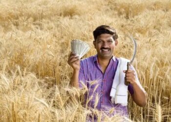 PM Kisan 20वीं किस्त का इंतजार खत्म होने वाला है? मोदी सरकार जल्द कर सकती है बड़ी घोषणा!