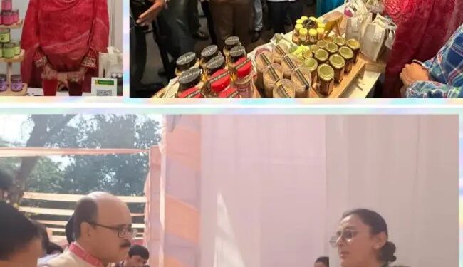 पीएयू-निधि-टीबीआई मेंटरशिप के तहत रैव एग्रो ने महत्वपूर्ण उपलब्धि हासिल की