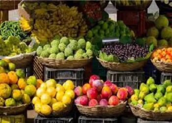 देश में 2023-24 में बागवानी उत्पादन लगभग 352.23 मिलियन टन होने का अनुमान