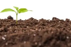 किसानों को मिलेगी मिट्टी के स्वास्थ्य की सटीक जानकारी