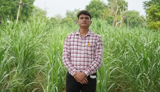 बागपत केवीके में खुलेगा गन्ना उत्कृष्टा केंद्र, जानें क्या होगा खास?