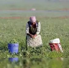 जलवायु-अनुकूल खेती के लिए 1000 करोड़ रुपये का कोष संभव