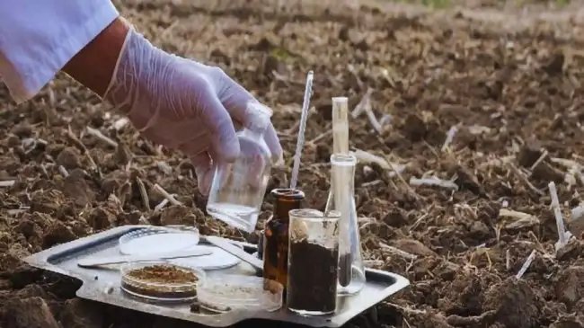 मिट्टी की जांच: अच्छी पैदावार के लिए जरूरी पहला कदम