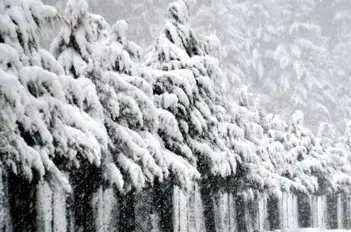 दिल्ली-एनसीआर में बढ़ेगी ठंड, इन राज्यों में बारिश का अलर्ट, जानें मौसम अपडेट!