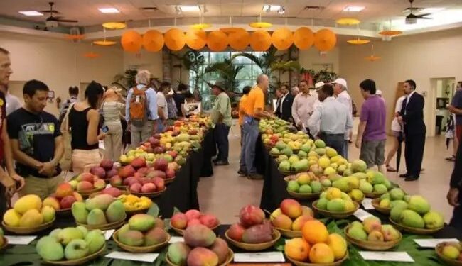 एक ही जगह पर मिल जाएंगी आम की 1200 प्रजातियां, सुर्खियों में योगी- कोहली मैंगो