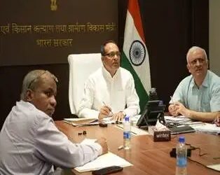 सरकार ने खरीफ 2025–26 के लिए मूंग और मूंगफली की खरीद को दी मंजूरी