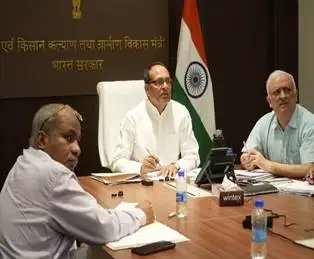 सरकार ने खरीफ 2025–26 के लिए मूंग और मूंगफली की खरीद को दी मंजूरी