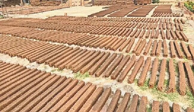 गोबर से बने उत्पाद: पर्यावरण और अर्थव्यवस्था के लिए वरदान