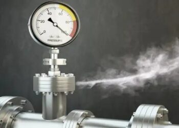 महाराष्‍ट्र: सांगली में बड़ा हादसा, खाद प्‍लांट में गैस रिसने से तीन लोगों की मौत