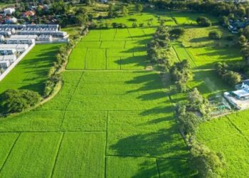 योगी सरकार की नई पहल: अब केवल 5 हजार में होगा जमीन का बंटवारा, लागू हुआ नया कानून