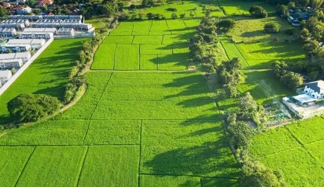 योगी सरकार की नई पहल: अब केवल 5 हजार में होगा जमीन का बंटवारा, लागू हुआ नया कानून