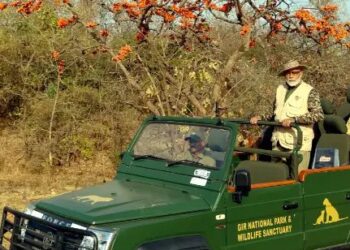 पीएम मोदी ने गिर के जंगल में की जमकर फोटोग्राफी, सफारी!