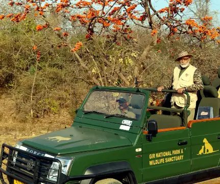 पीएम मोदी ने गिर के जंगल में की जमकर फोटोग्राफी, सफारी!