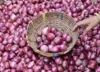 भारत का बड़ा कदम, श्रीलंका को 10,000 टन प्याज के निर्यात की मिली मंजूरी