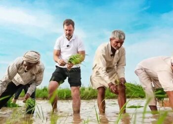 राहुल गांधी का किसानों की आत्महत्या पर केंद्र और राज्य सरकार पर हमला, बीजेपी का पलटवार – जानें पूरा मामला