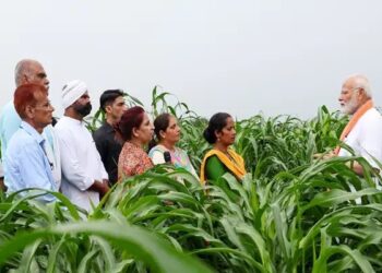 पीएम-आशा योजना: किसानों को न्यूनतम समर्थन मूल्य की गारंटी, उपभोक्ताओं को सस्ती दरों पर उपलब्ध होंगी आवश्यक वस्तुएं