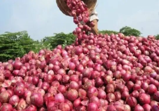 महाराष्ट्र की मंडी में 200 रुपये प्रति क्विंटल पहुंचा प्याज, जानें क्या हैं कीमतें?