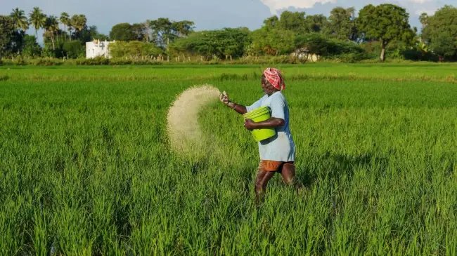 नकली कीटनाशक और खाद पर मोदी सरकार का एक्शन मोड, 7 साल तक की जेल का प्रावधा