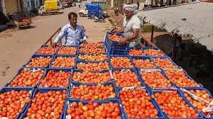 बाजार में फ्री बिक रहा टमाटर, भीषण गर्मी के कारण किसानों ने फसल पर चलाया टैक्टर