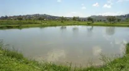 मछली पालन पर सरकार दे रही 80 प्रतिशत सब्सिडी, जानें कैसे मिलेगा लाभ?