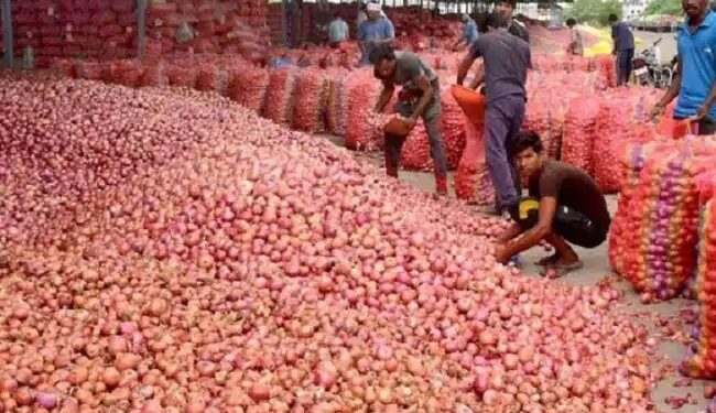 महाराष्ट्र की मंडियों में 3000 रुपये क्विंटल पहुंचा प्याज, जानें मंडियों के दाम