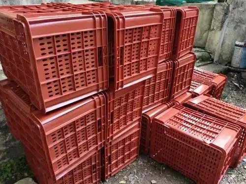 फल रखने के लिए किसानों को प्लास्टिक पर मिल रही बंपर सब्सिडी, ऐसे करें आवेदन