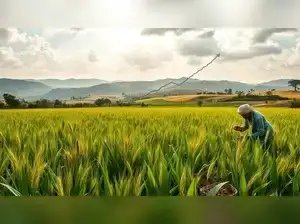 उत्तर प्रदेश सरकार किसानों को सब्सिडी वाले कृषि उपकरण उपलब्ध कराएगी