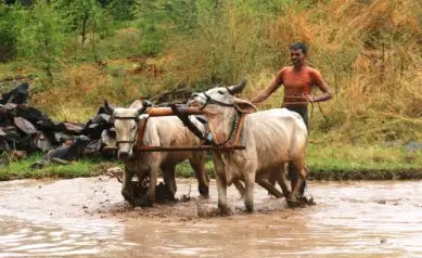 केसीसी कार्ड से मिलेगा किसानों को फायदा, मिलेगी लोन पर भारी छूट