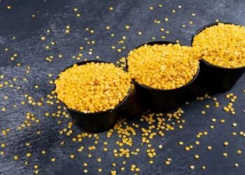 पीली मटर के शुल्क मुक्त आयात से स्थानीय कीमतों में गिरावट आ सकती है