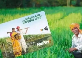 यूपी के किसानों के लिए खुशखबरी, मक्का समेत इन 9 जायद फसलों पर मिलेगा KCC और बीमा का लाभ