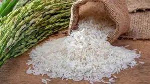 खाद्य सब्सिडी बजट अनुमान से 20,000 करोड़ रुपये अधिक हो सकती है