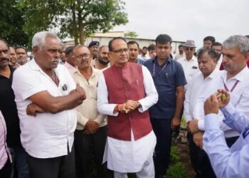 केंद्रीय कृषि मंत्री ने गुजरात में मूंगफली किसानों से की मुलाकात, खेतों में किया निराई-गुड़ाई का कार्य