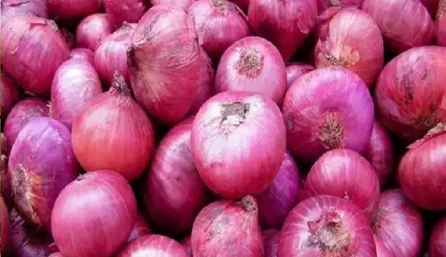 केन्द्र सरकार ने छह देशों को 99,150 एमटी प्याज के निर्यात की अनुमति दी
