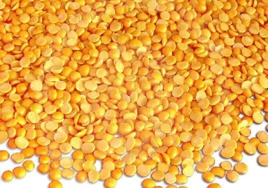 तुअर कीमतों में गिरावट, MSP पर बढ़ी खराद, अगले महीने से बेच सकेंगे दाल!