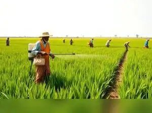 11 वर्षों में पांच गुना बजट वृद्धि से भारत का कृषि क्षेत्र बदल गया: सरकार