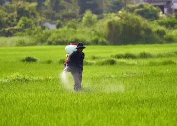 चीन ने भारत का विशेष उर्वरक निर्यात रोका: रिपोर्ट