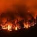 कैलिफोर्निया के जंगलों में फैली आग, दो लोगों की मौत; 1000 से ज्यादा इमारतें नष्ट