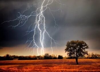 बिहार के 23 जिलों में बिजली गिरने का अलर्ट, बेगूसराय में 7 लोगों की मौत