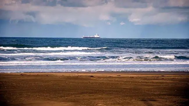 इसरों के साथ मिलकर सरकार का मेगा प्लान, ऐसे बढ़ेगा सीफूड एक्सपोर्ट