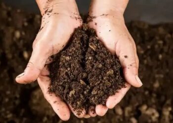 ICRISAT की नई तकनीक से मिनटों में मिट्टी की जांच, सूखा प्रभावित इलाकों में खेती को मिलेगी नई ताकत