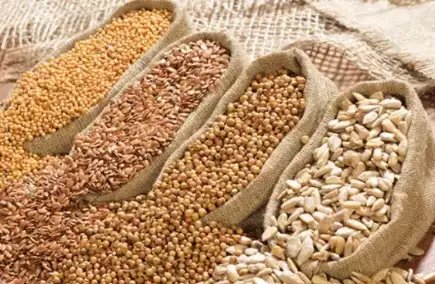 इन फसलों की कीमतों में आई कमी, जानें क्या है मंडी भाव?