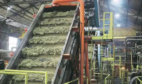 भारतीय चीनी मिलों के हुए निर्यात के सौदे, जानें क्या हैं कीमतें और क्या होगा फायदा?