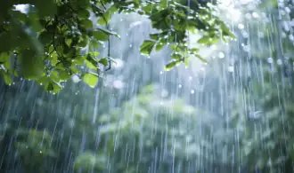 इन राज्यों में बारिश की संभावना, राजधानी में आए ये बदलाव, जानें डिटेल!