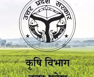 यूपी कृषि विभाग में बड़ा प्रशासनिक फेरबदल: 17 जिला कृषि अधिकारी सहित 400 से अधिक कर्मचारियों का तबादला