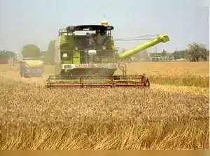 सरकार ने अब तक 290 लाख टन से अधिक गेहूं खरीदा है, यह 320-325 लाख टन तक पहुंच सकता है: प्रहलाद जोशी