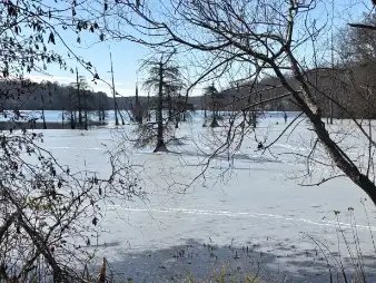 तालाब बनाने पर मिलेगी सब्सिडी, इस राज्य सरकार की ओर से किसानों को सौगात!