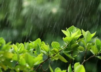 IMD ने इन राज्यों में बताई बारिश की संभावना, दिल्लीवासियों को गर्मी से राहत